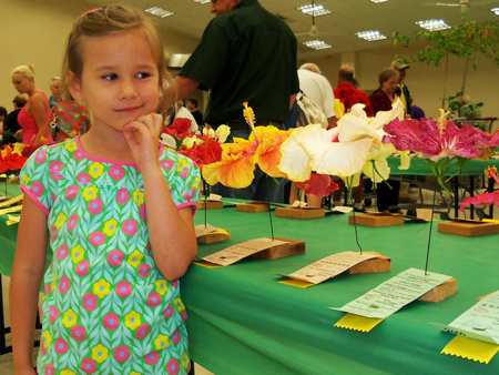 Corina looks at hibiscus flowers ready to be judged. 