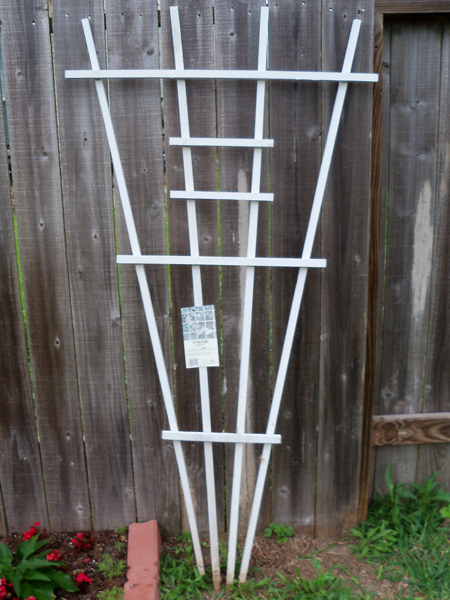 I drove right by this trellis, sitting curbside in some unknown neighbor's trash - and I kicked myself about it all the way to work. But then, without me even mentioning it, Kim decided to repurpose one person's trash into our new treasure. Go Kim!