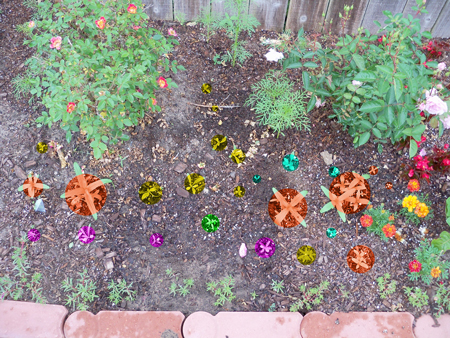 This color-coded image of the right side of my original bed shows what's planted here. Orange is the zinnia, yellow is the mixed wildflowers, purple is the bachelor buttons, turquoise is the blanket flower and the single green spot is the jalapeno. 