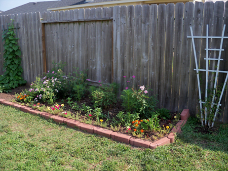 The eighth week of the original bed. 