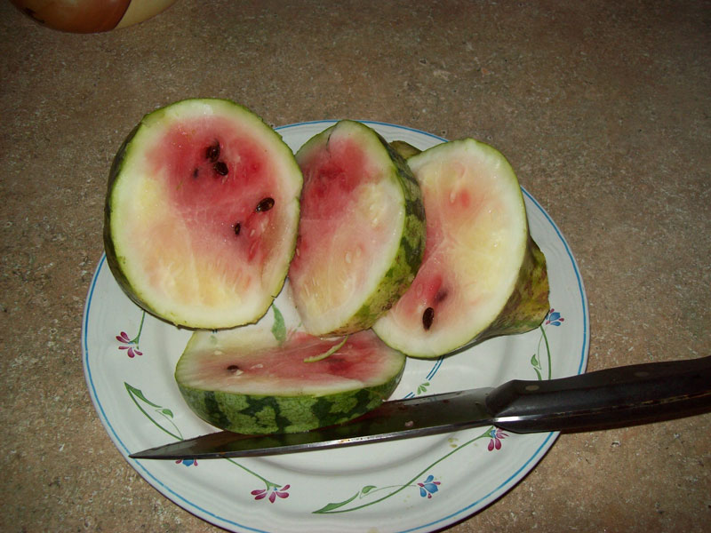 Inside the watermelon